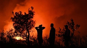 Orman yangınları sürüyor! Üç mahalle boşaltıldı... Çanakkale, İzmir ve İstanbul...