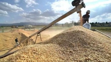 Patlama sonrası buğday fiyatları yükselecek mi? Açıklama geldi