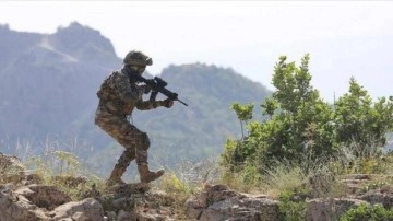 Pençe-Kilit bölgesinde 3 PKK'lı terörist etkisiz h&acirc;le getirildi