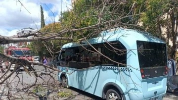 Pendik'te yolcu minibüsünün üzerine ağaç devrildi!