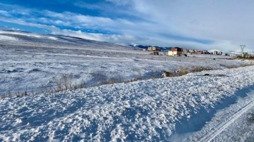 Peş peşe açıklandı! 4 ilde okullara kar tatili
