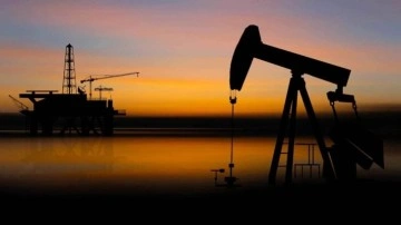 "Petrol ve gaz endüstrisi dönüm noktasında"