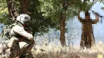 PKK'lı 4 terörist daha teslim oldu, sınırlarda 3 şüpheli yakalandı