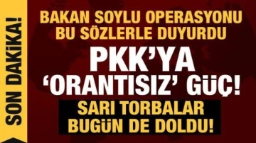 PKK'ya "orantısız" güç! İki operasyonda 6 terörist etkisiz!