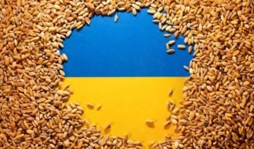 Polonya ve Macaristan Ukrayna'dan tahıl ve gıda ithalatını yasakladı