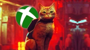 Popüler Kedi Simülatörü Stray, Nihayet Xbox'a da Geldi - Webtekno