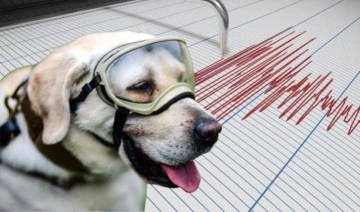 Prof. Dr. Çenesiz: Hayvanları deprem erken uyarıcısı olarak kullanmak mümkün değil