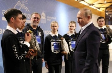 Putin, türü kaybolma tehlikesiyle karşı karşıya olan bir şahini besledi