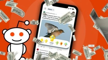Reddit, Para Kazanabileceğiniz Ödül Programını Duyurdu - Webtekno
