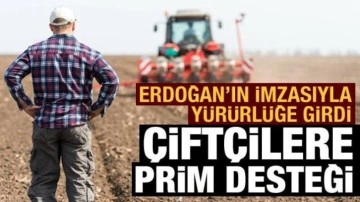 Resmi Gazete'de yayımlandı: Çiftçilere prim desteği ödenecek