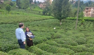 Rize'de çay üreticileri hayat pahalılığından yakındı: 'Sabredin, sabredin… Nereye kadar?&#