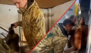 Rus askerleri hayvanat bahçesinden bir rakun ve lama çalarken görüntülendi