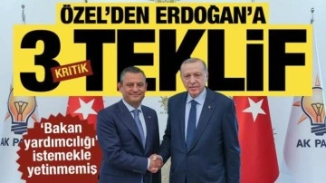 Sadece ‘bakan yardımcılığı’ istemekle yetinmemiş... Özel’den Erdoğan’a 3 teklif