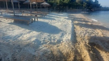 Sahile beyaz kum döken işletmeye 106 bin lira ceza