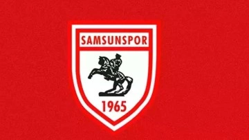Samsunspor'a 2 dönem transfer yasağı getirildi