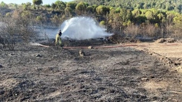 Sancaktepe'de ormanlık alanda çıkan yangın söndürüldü