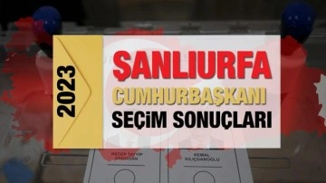 Şanlıurfa seçim sonuçları açıklandı! Deprem bölgesinde Erdoğan'ın ve Kılıçdaroğlu'nun oyla