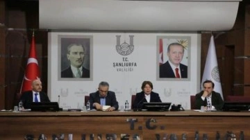 Şanlıurfa'da "Türkiye Yüzyılı Vizyonu" programı düzenlendi