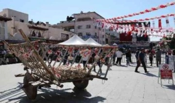 Sarımsak Festivali'nde ülkeler kültürlerini danslarla tanıttı