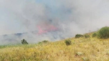 Şarköy'de makilik yangını: 5 hektar yandı