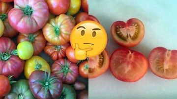 Sebze ve Meyveler Neden Eskisi Kadar Lezzetli Değil? - Webtekno