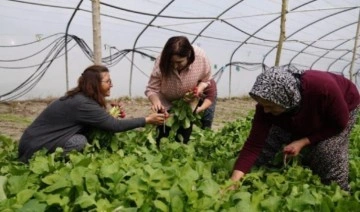 Selvi Kılıçdaroğlu, Çatalca'da ziyaretlerde bulundu: Bahçelerimizden umut biçeceğiz