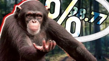 Şempanze Hakkında İlginç Bilgiler - Webtekno