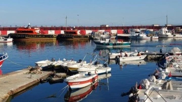 Sıcak sular balıkçıların rotalarını Karadeniz’e çevirtti