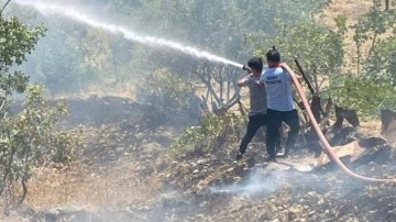 Siirt'te yangın: 10 dönüm fıstık bahçesi zarar gördü