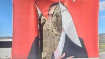 Silifke'de MHP adayının afişleri kesildi