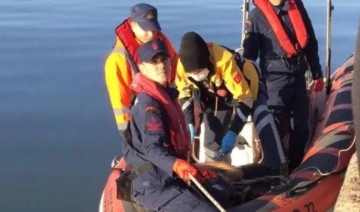 Sinop'ta denize düşen gemicinin cansız bedeni bulundu