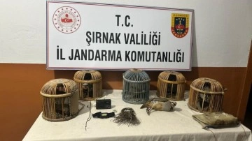 Şırnak’ta keklik avcılarına 67 bin lira ceza