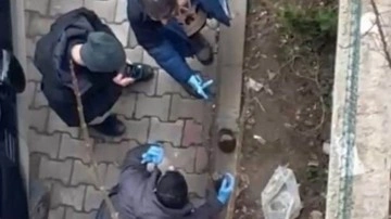 Şırnak'ta çocuklar biri patlamış 2 havan mermisi buldu!