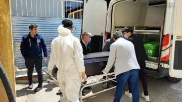 Sivas'ta Kene Isırması Sonucu Ölenlerin Sayısı 3'e Yükseldi