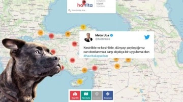 Sokak Köpeklerinin Konumunu Gösteren 'Havrita' Gündem Oldu