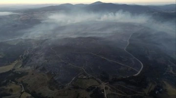Son Dakika: 3 gündür devam eden Çanakkale'deki orman yangını kontrol altına alındı