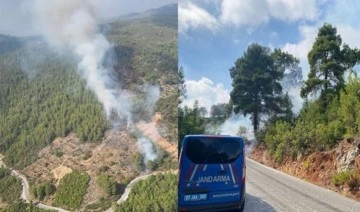 Son Dakika: Alanya'da orman yangını!