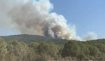 Son Dakika: Balıkesir'de iki orman yangını!