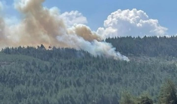 Son Dakika: Bursa'da orman yangını!