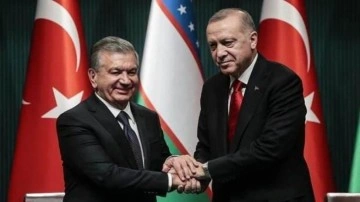 Son Dakika: Cumhurbaşkanı Erdoğan, Özbek mevkidaşı Mirziyoyev ile görüştü