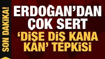 Son Dakika: Cumhurbaşkanı Erdoğan'dan 'dişe diş kana kan' tepkisi!