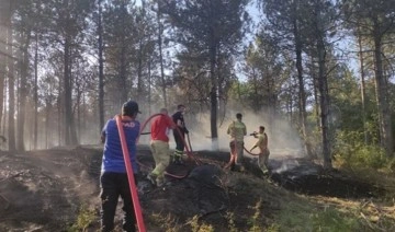 Son Dakika: Edirne'de orman yangını!
