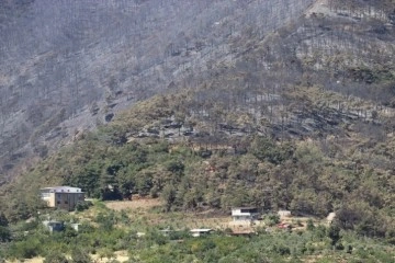 Son Dakika: Hatay'ın Belen ilçesindeki orman yangını kontrol altına alındı