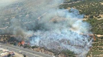 Son Dakika: İzmir'de makilik yangını!