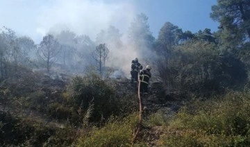 Son Dakika: Kocaeli'de ormanlık alanda yangın çıktı