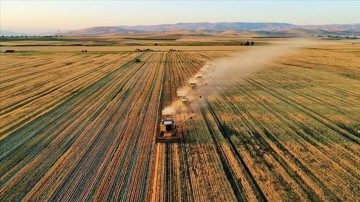 Son Dakika: Türkiye, Rusya, Ukrayna ve BM heyetleri arasındaki tahıl koridoru görüşmeleri başladı