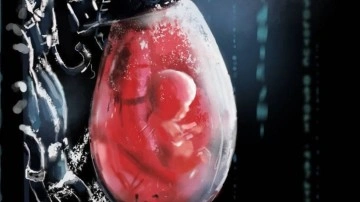 Sperm ve Yumurta Olmadan, İnsan Embriyosu Geliştirildi - Webtekno