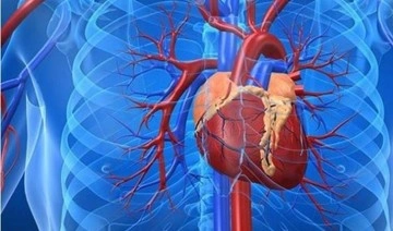 Stres, aort damarında yırtılmaları beraberinde getiriyor