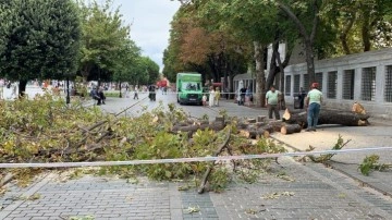 Sultanahmet'te felakete ramak kala: Ağaç devrildi, turistler ölümden son anda kurtuldu