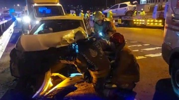 Sultanbeyli TEM'de sahipsiz köpek zincirleme kazaya neden oldu